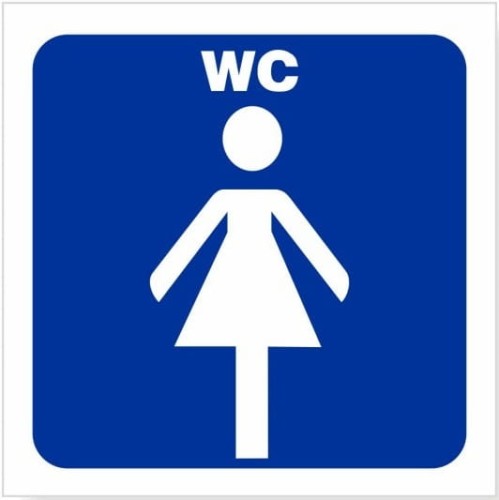 Naklejka Informacyjna WC Toaleta Damska 8x8 cm
